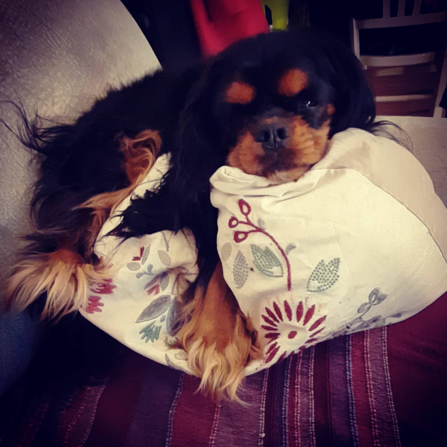 Marley