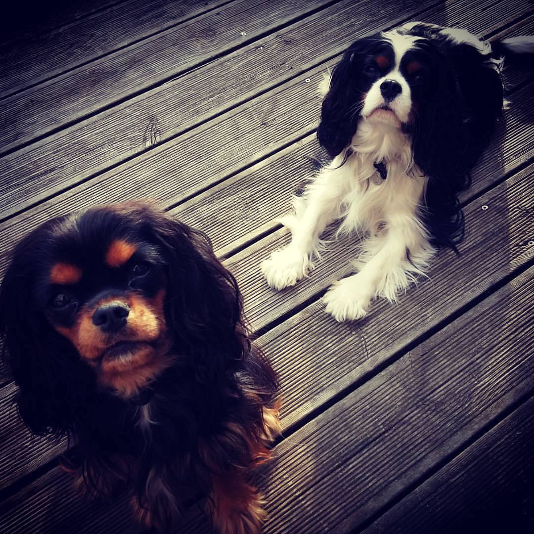 Marley & Lucky