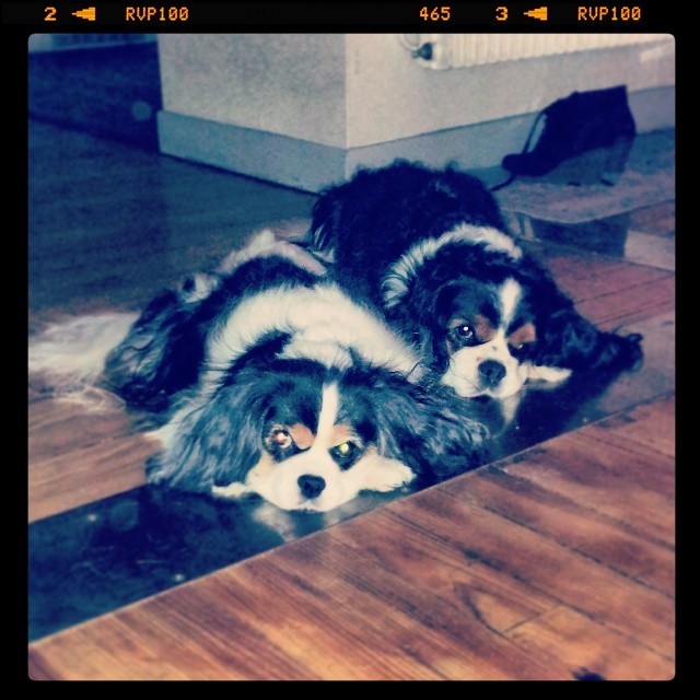 Vanille & Booster